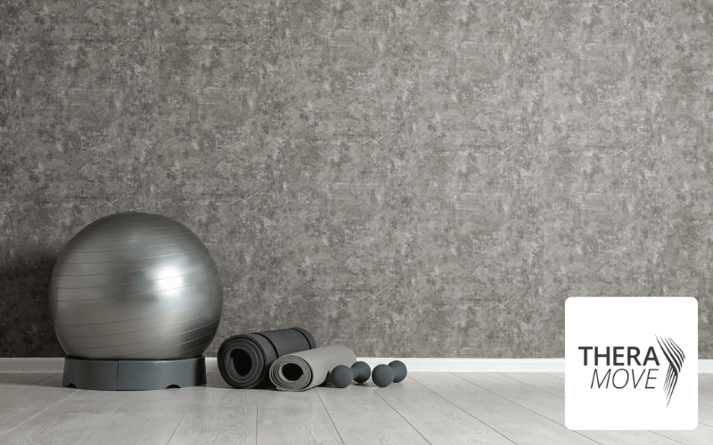 SEO Referenzprojekt für TheraMove mit Trainings und Therapieausstattung